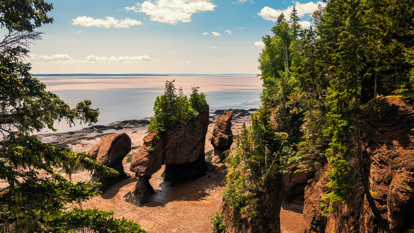 Año escolar en Canadá: New Brunswick como destino ideal